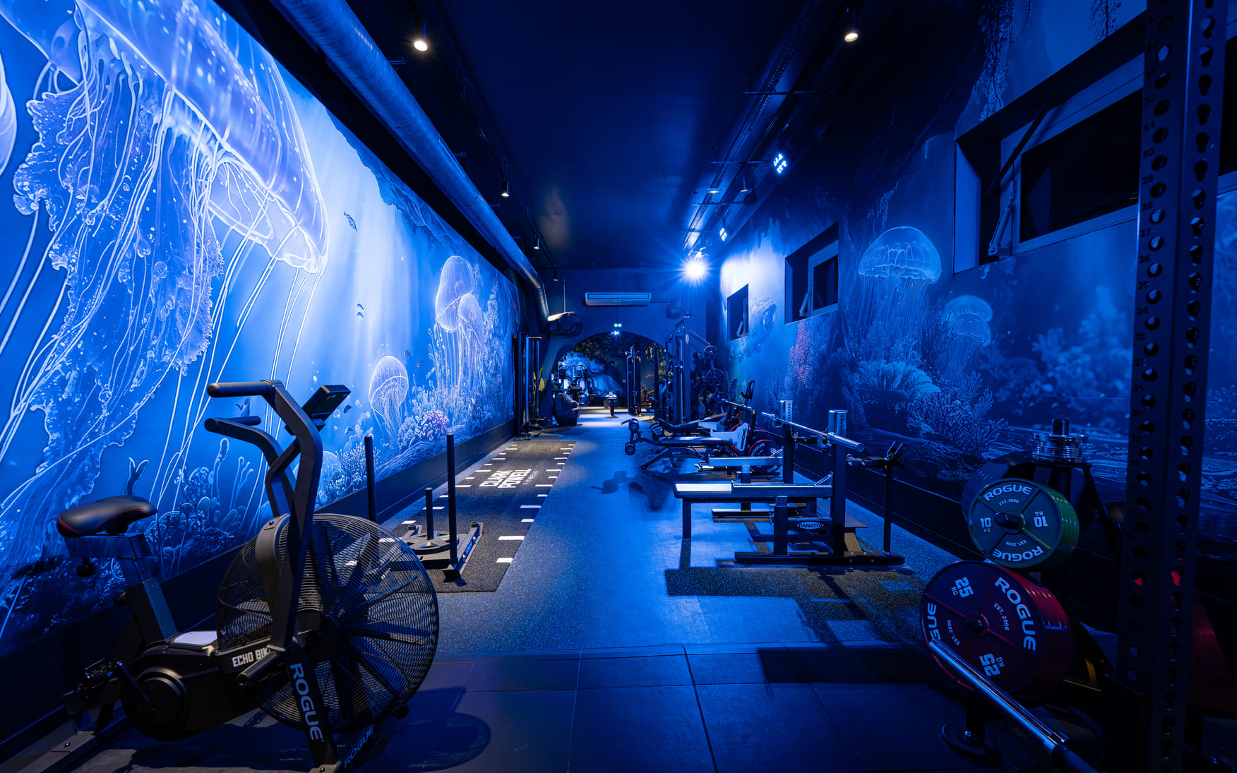 Salle de sport Clark Powell à Bayonne